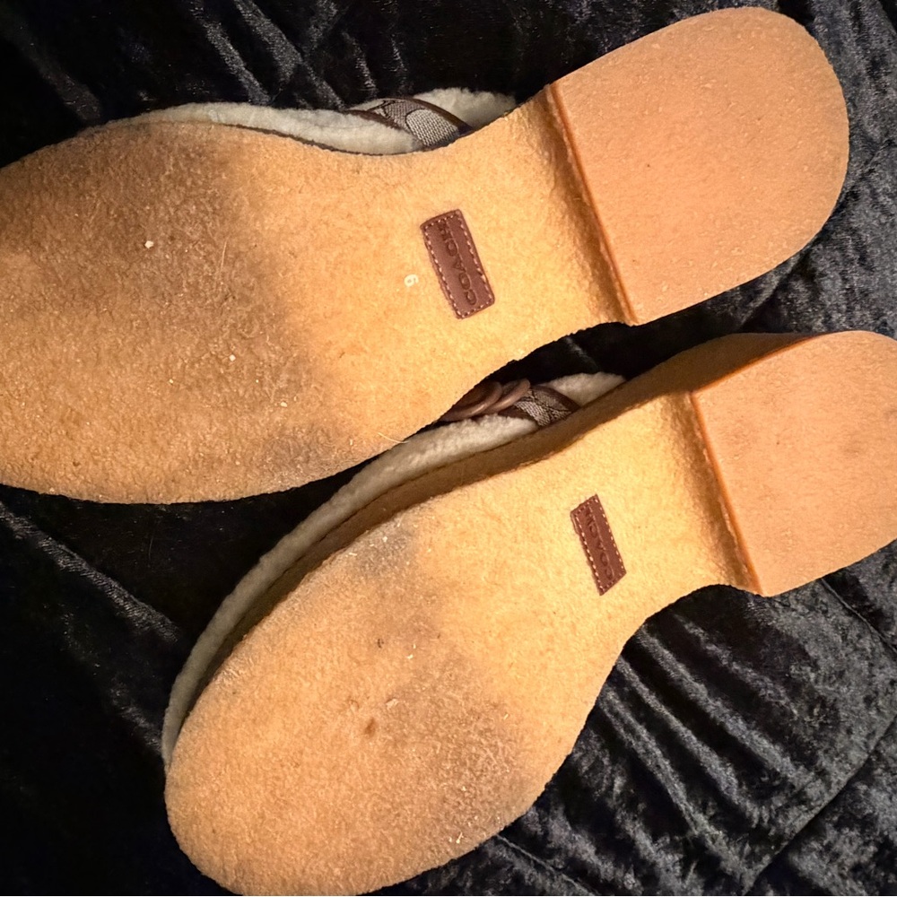 Coach Shearling Clogs - Picture 5 of 9